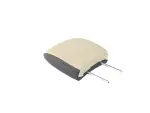 Rear Headrest